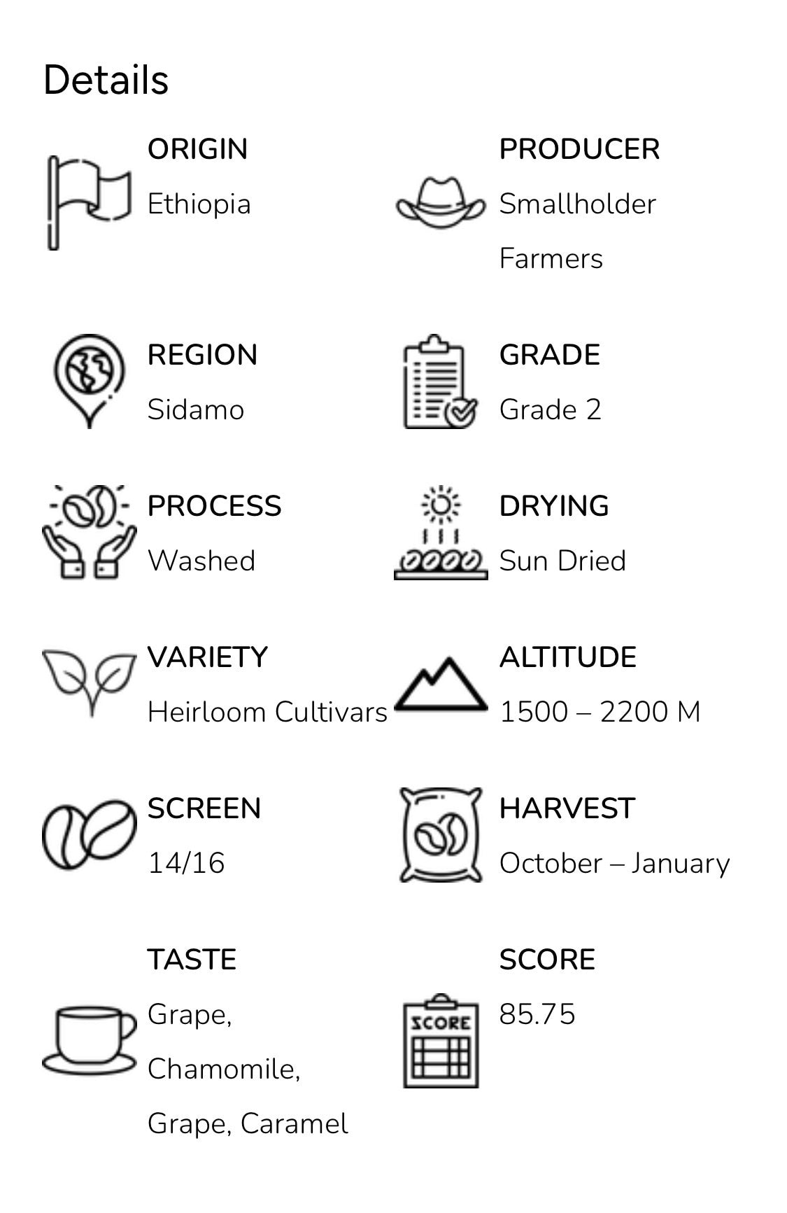 Ethiopia Sidomo Coffee